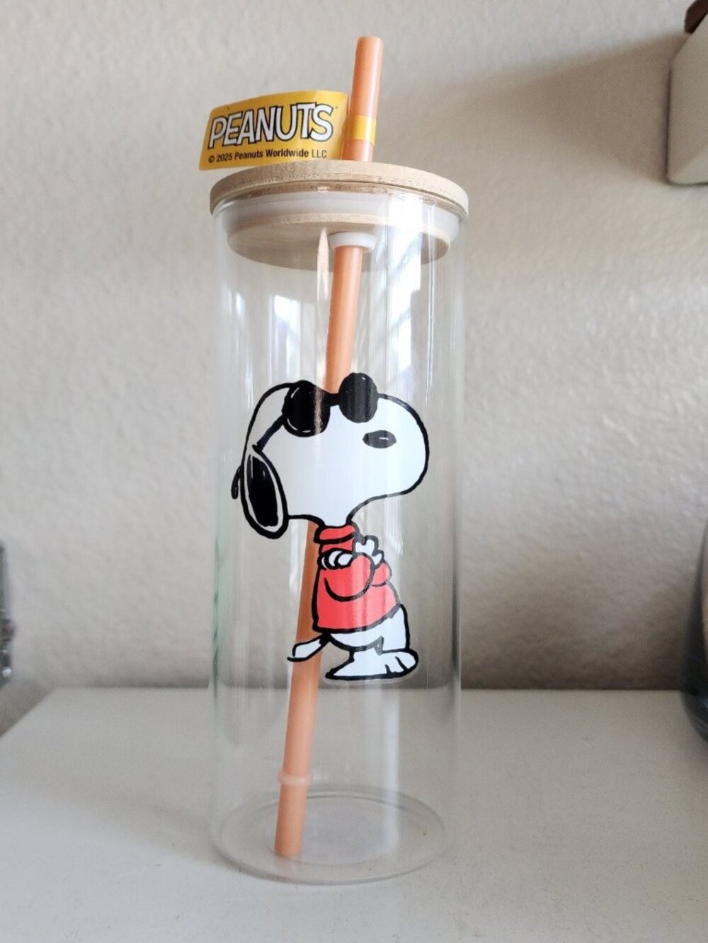 New Peanuts SNOOPY 23oz Glass Tumbler with Straw and Bamboo Lid Brand NEW